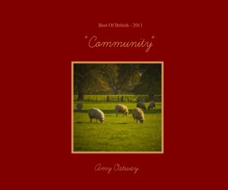 "Community" book cover