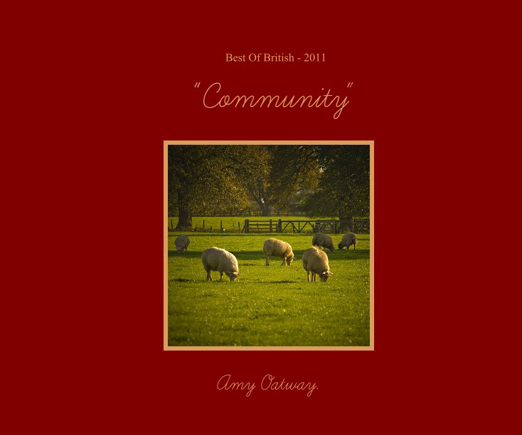View "Community" by Amy Oatway.