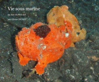 Vie sous marine book cover