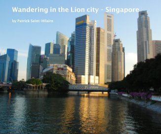 Wandering in the Lion city - Singapore book cover