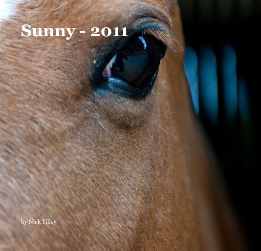 Bekijk Sunny - 2011 op Nick Tilley
