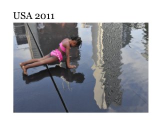 USA 2011 book cover