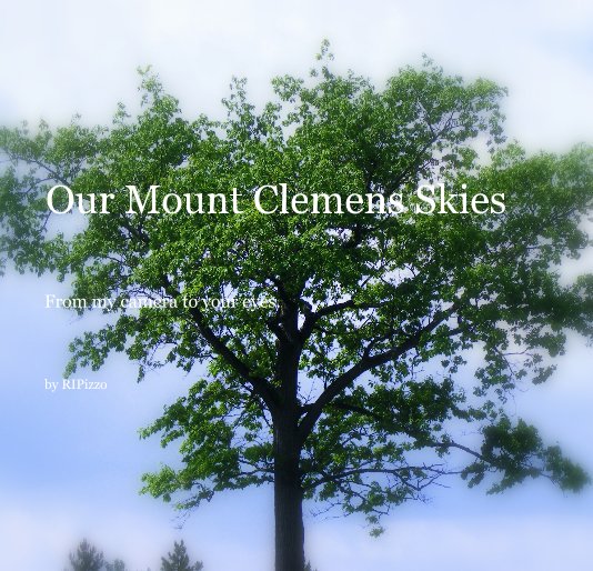 View Our Mount Clemens Skies by RIPizzo