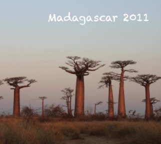 Madagascar 2011 book cover