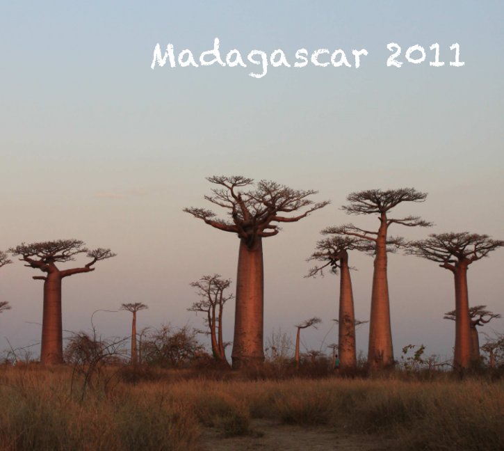 Ver Madagascar 2011 por Venot Etienne