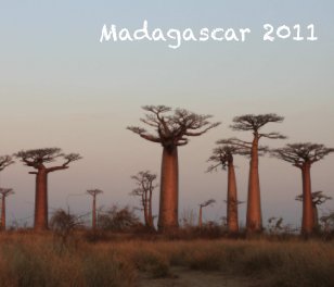 Madagascar 2011 - Souple book cover