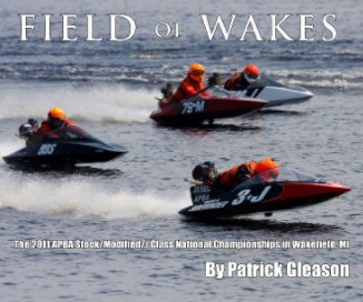 Field of Wakes book cover