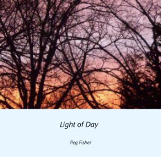 Light of Day book cover