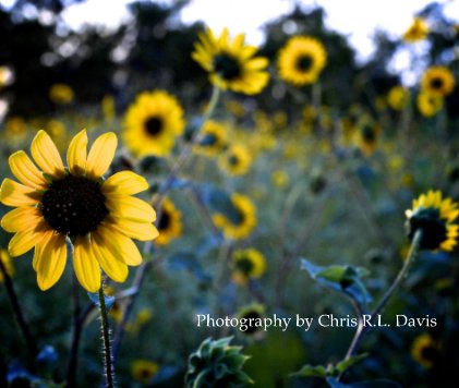 Photography by Chris R.L. Davis book cover