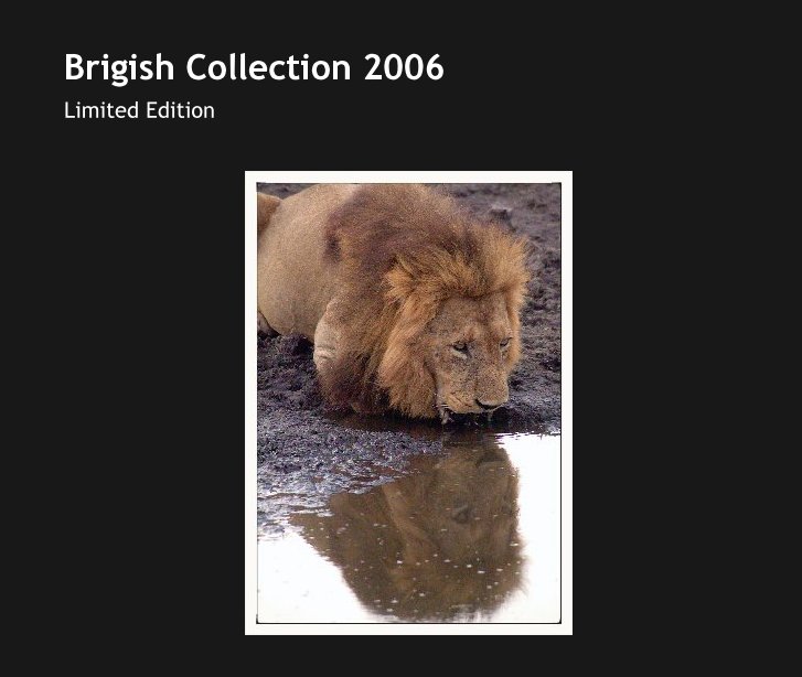 Visualizza Brigish Collection 2006 di albrigi