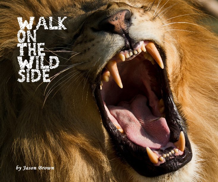 View Walk on the Wild Side by Jason Brown