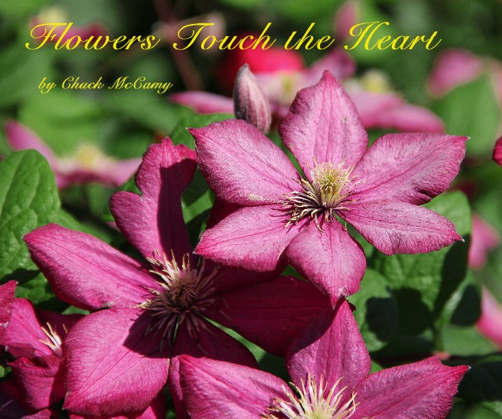 View Flowers Touch the Heart by Chuck McCamy