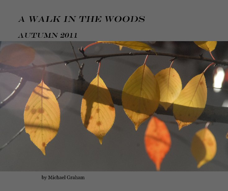 View A Walk in the Woods by Michael Graham