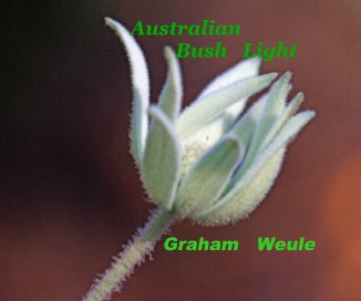 Australian Bush Light book cover