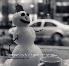 Montgomery & the Great White Snow book cover