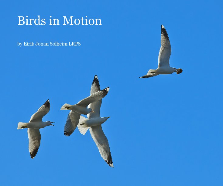Visualizza Birds in Motion di Eirik Johan Solheim LRPS