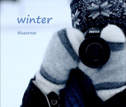 winter book cover