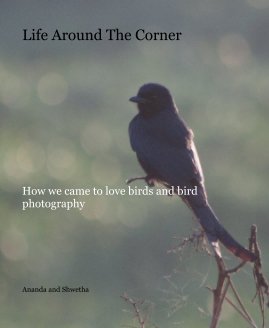 Life Around The Corner book cover