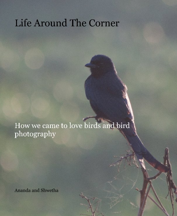 View Life Around The Corner by Ananda and Shwetha