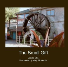 The Small Gift book cover