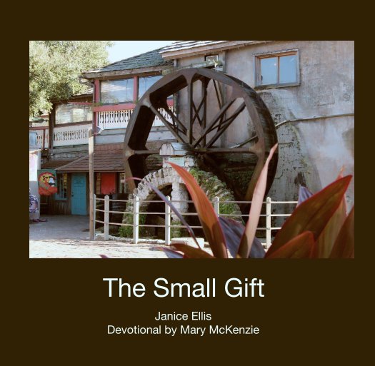 View The Small Gift by Janice Ellis
Devotional by Mary McKenzie