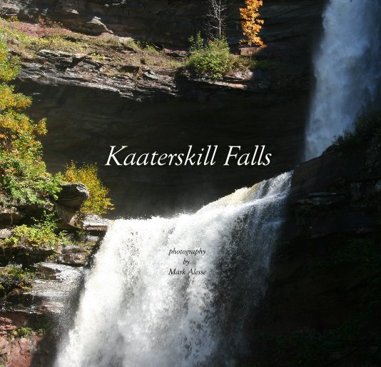 View Kaaterskill Falls by mark alesse