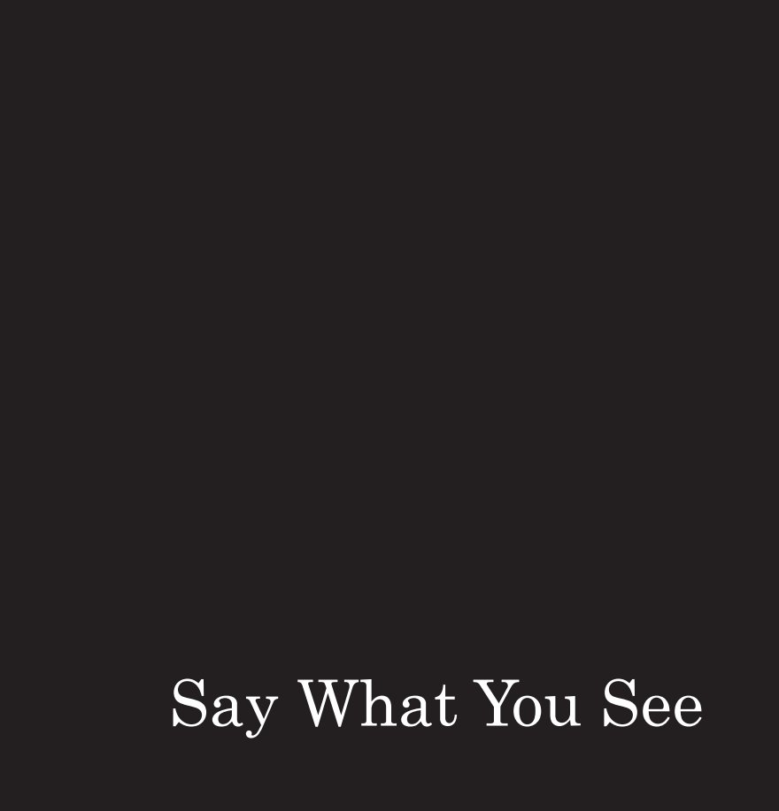 Say What You See by Yasmin Clews Blurb Books