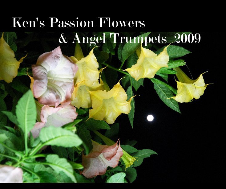 View Ken's Passion Flowers & Angel Trumpets 2009 by Kenneth George