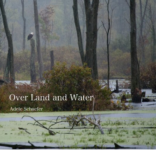 View Over Land and Water by Adele Schaefer