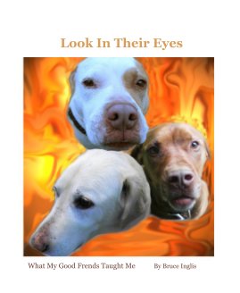 Look In Their Eyes book cover
