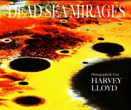 DEAD SEA MIRAGES book cover