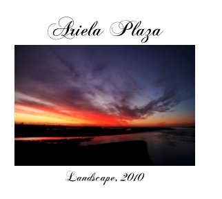 Landscape, 2010 book cover