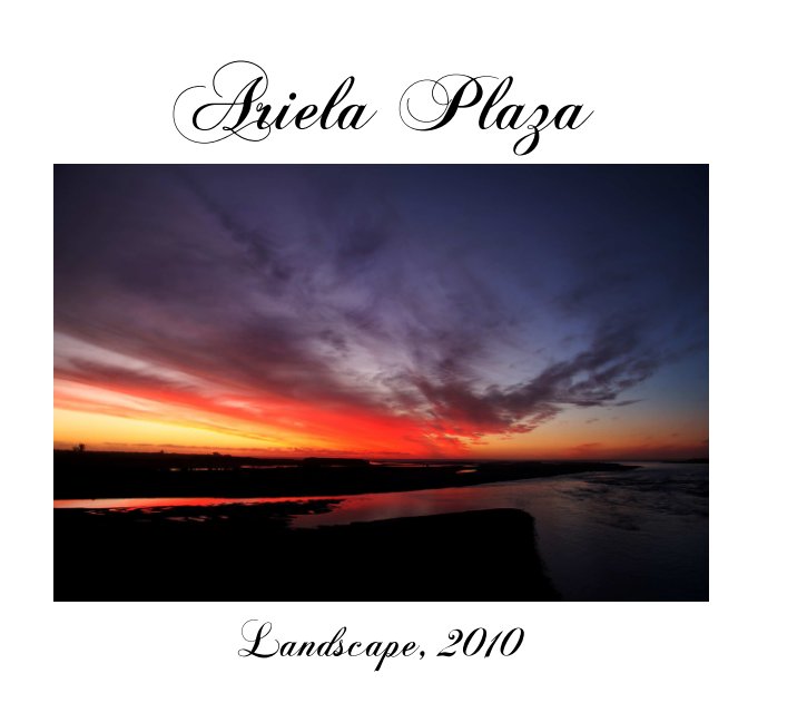 Ver Landscape, 2010 por Ariela Plaza