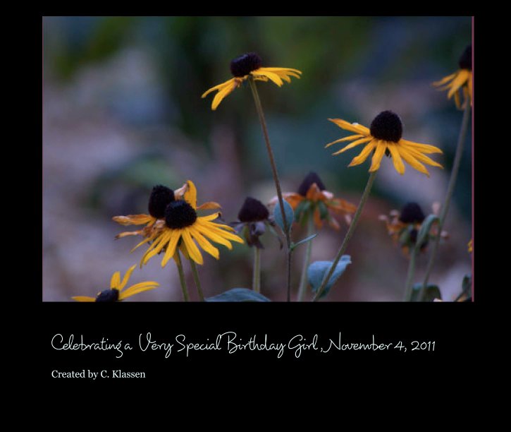 View Celebrating a  Very Special Birthday Girl , November 4, 2011 by Carrie Klassen