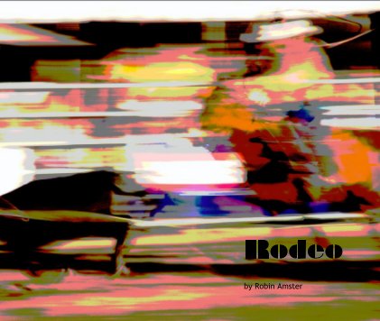 Rodeo book cover