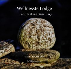 Wellnesste Lodge and Nature Sanctuary book cover
