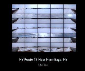 NY Route 78 Near Hermitage, NY book cover