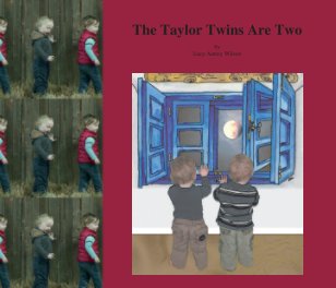 The Taylor Twins Are Two book cover