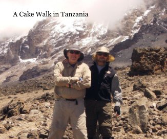 A Cake Walk in Tanzania book cover