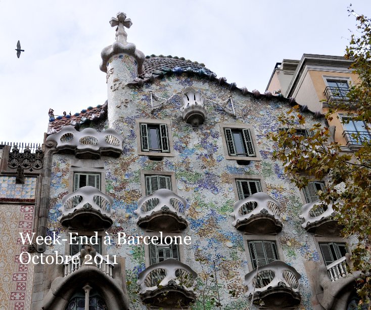 Ver Week-End à Barcelone Octobre 2011 por Marie de Carne