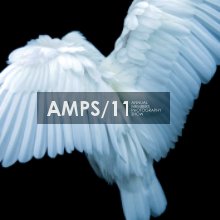AMPS/11 book cover