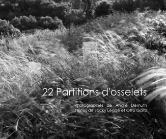 22 Partitions d'osselets book cover
