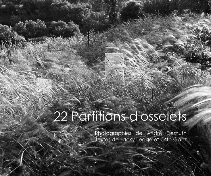 View 22 Partitions d'osselets by André Demuth   Textes de Jacky Legge et Otto Ganz