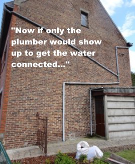 "Now if only the plumber would show up to get the water connected..." book cover