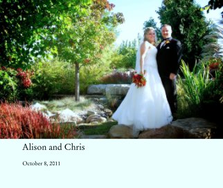 Alison and Chris book cover