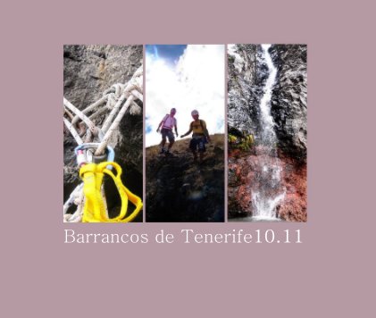 Barrancos de Tenerife10.11 book cover