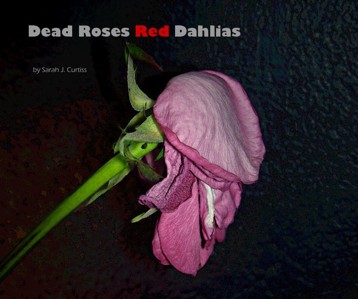 View Dead Roses Red Dahlias by Sarah J. Curtiss