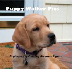 Puppy Walker Pics book cover