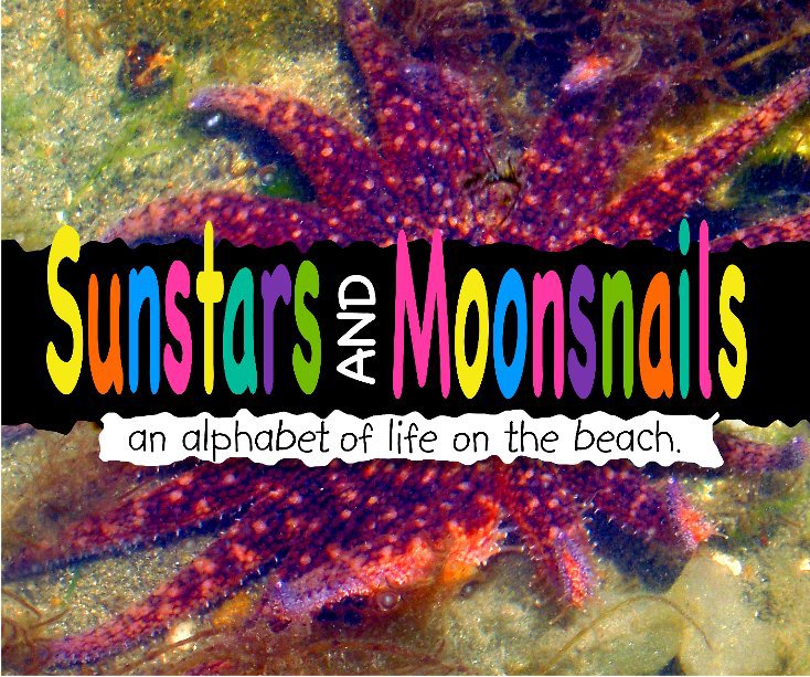 View Sunstars and Moonsnails by robin peterson