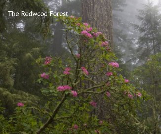 The Redwood Forest book cover